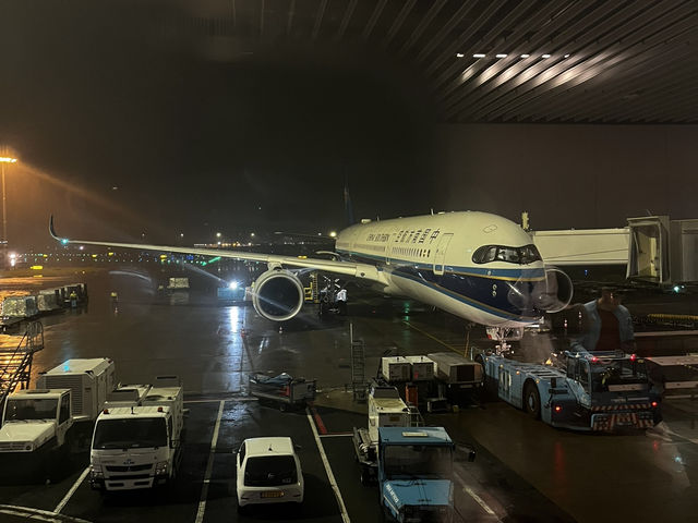 【中国南方航空】長距離線搭乗紀 : アムステルダム発広州行