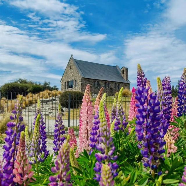 Serenity at the Church of the Good Shepherd