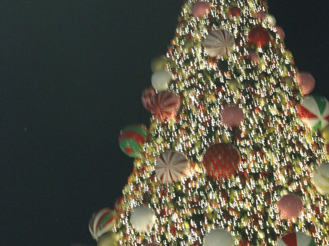 真夏のメリークリスマス🎅🦘