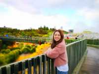 🇳🇿新西蘭間歇泉 蒂普亞地熱保護區