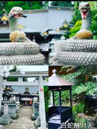 【巳年に行きたい神社3選】  初詣は蛇にまつわる神社へ・・