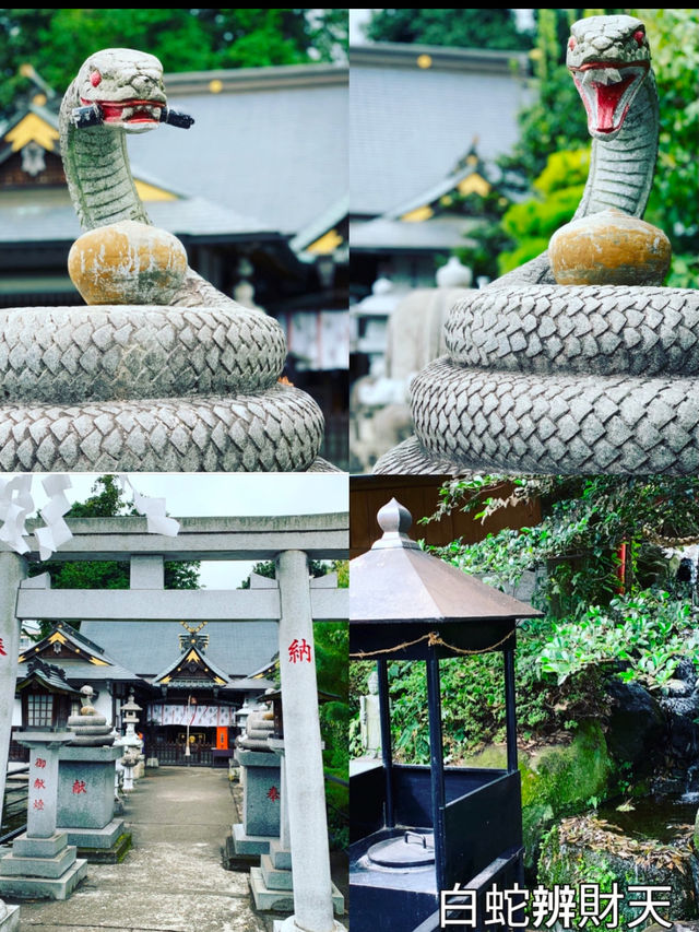 【巳年に行きたい神社3選】  初詣は蛇にまつわる神社へ・・