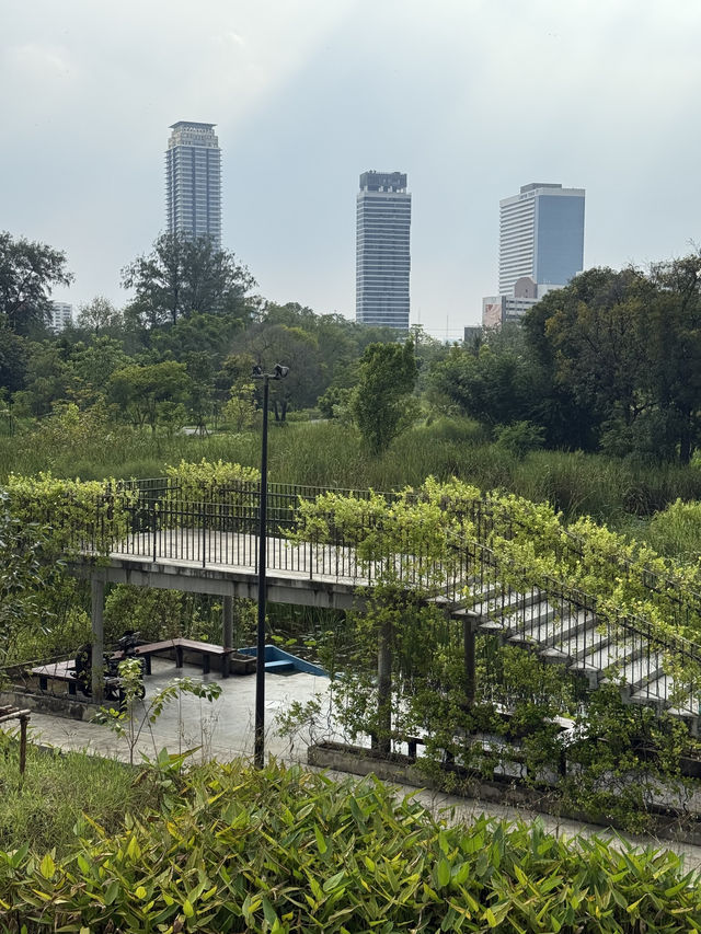 Benjakitti Park: A Peaceful Urban Oasis