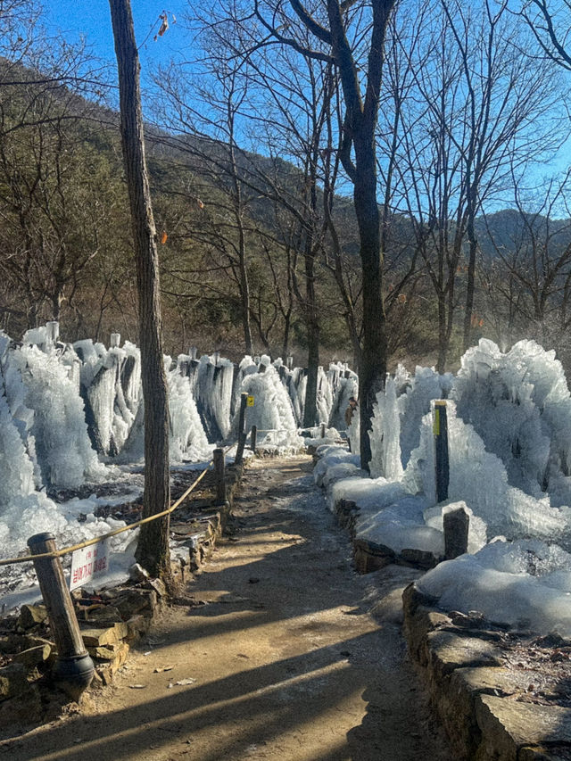 대전에 있는 겨울왕국❄️