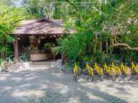 Baan Klang Aow Beach Resort