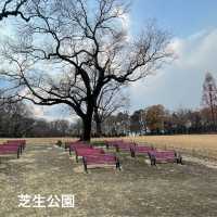 【大邱】無料で楽しめる動物園がある市民憩いの場【達城公園】　
