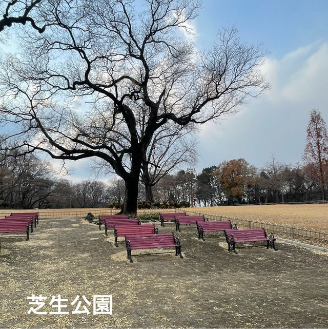 【大邱】無料で楽しめる動物園がある市民憩いの場【達城公園】　