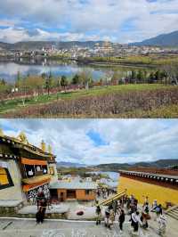 Ganden Sumtseling Monastery 