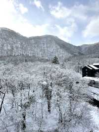 【栃木×湯西川温泉】囲炉裏でいただく平家鷹狩料理  窓からの雪景色が素晴らしく