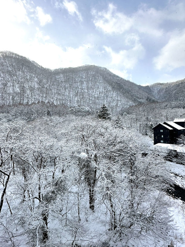 【栃木×湯西川温泉】囲炉裏でいただく平家鷹狩料理  窓からの雪景色が素晴らしく