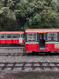 Alishan National Park: A Mystical Journey