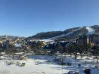 평창 알펜시아 리조트 ⛷️❄️