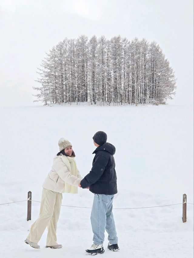 Hokkaido 2025 
