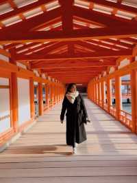 【宮島】広島で行くならココ‼️必ず行きたいスポット3選✨