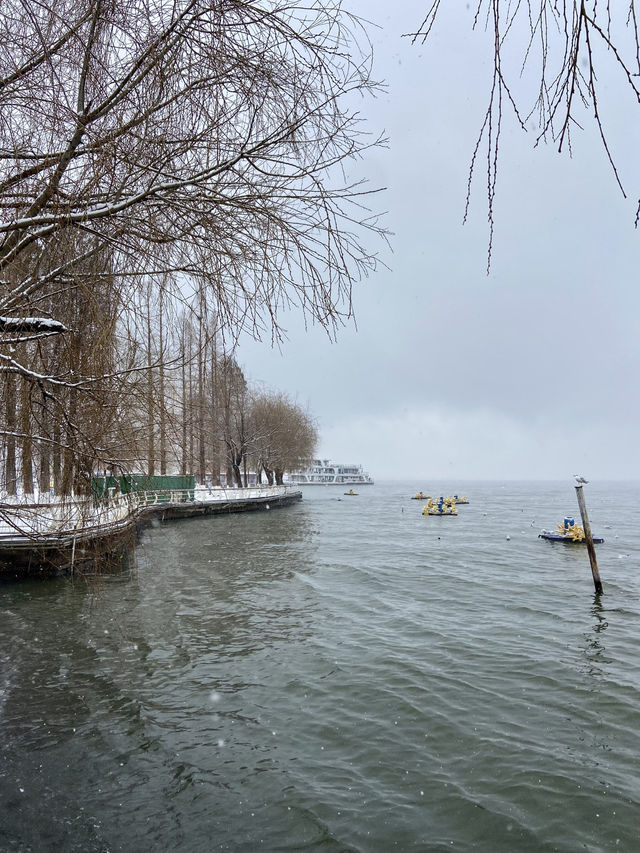 🥰☃️白雪浪漫～昆明滇池必去海埂公園🕊️🌊