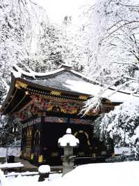 【宮城×冬の旅】