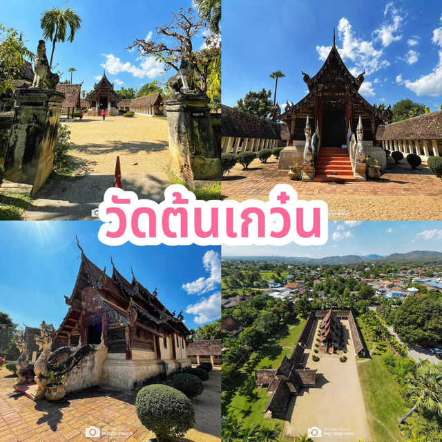 วัดต้นเกว๋น