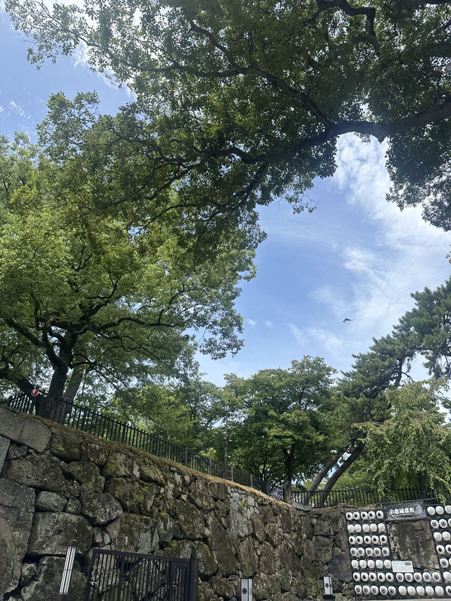 기타큐슈 여행, 숨겨진 매력을 발견하다! 🇯🇵