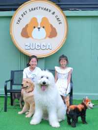 ถูกใจคนรักหมาแมว Zucca - The Pet Sanctuary & Cafe