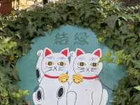 尋找東京🇯🇵招財貓🐱之旅(一)