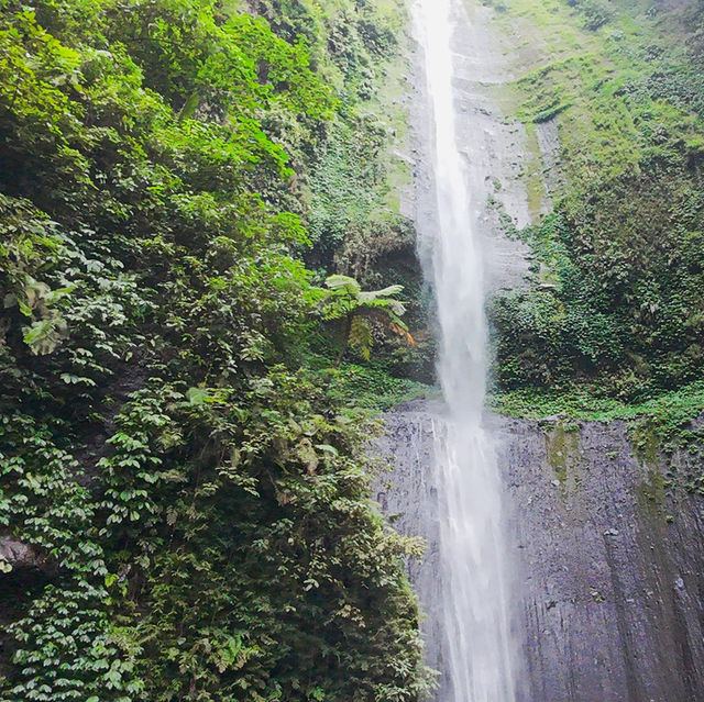 A Hidden Gem: Madakaripura Waterfall