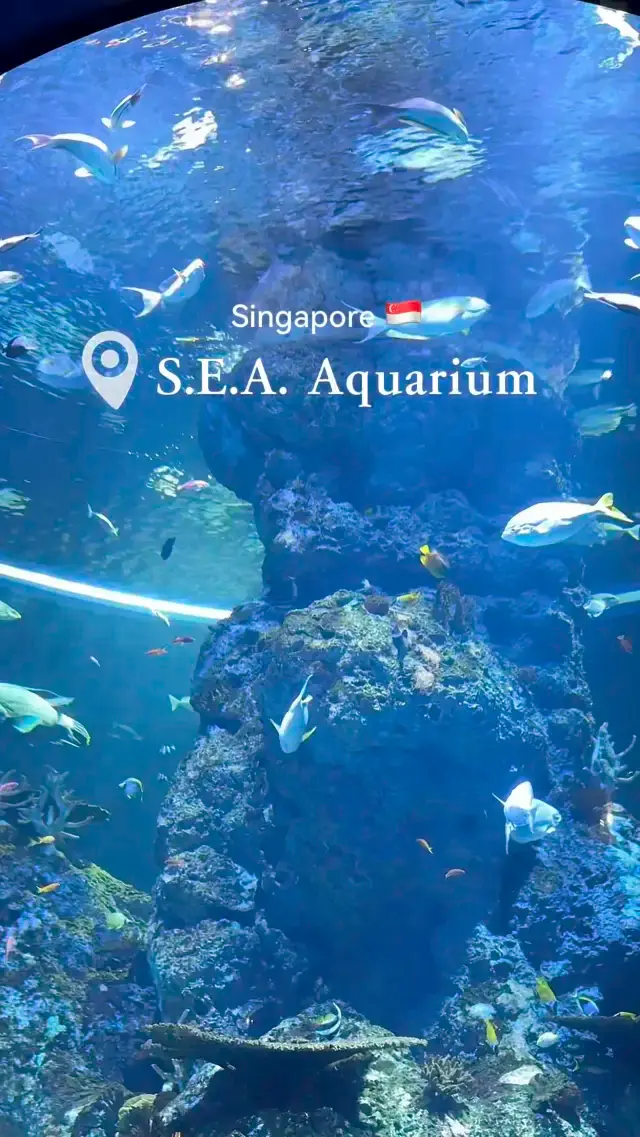 S.E.A. Aquarium in Singapore