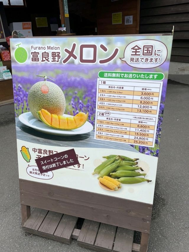 여름에 가기 좋은 훗카이도 비에이 투어🌻🌷🌻🌷