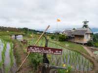 นาขั้นบันได บ้านป่าปงเปียง 🌾