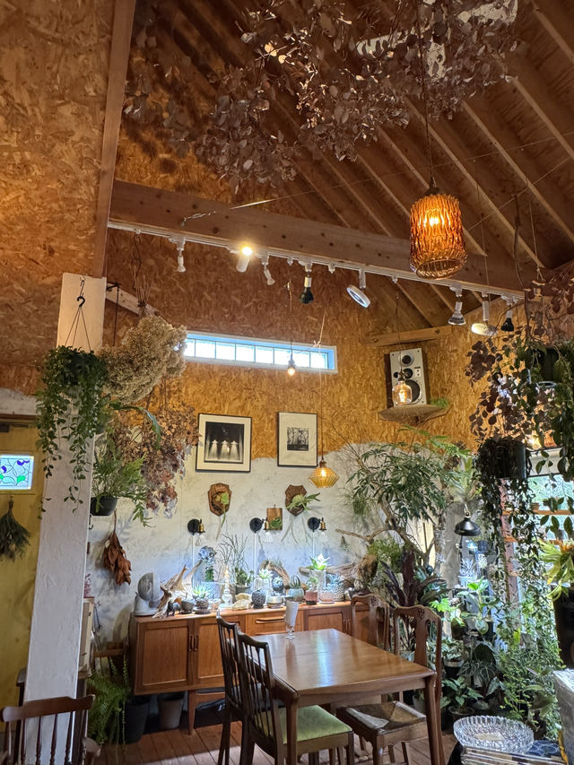 【福岡カフェ】週末だけ開いてる看板のないカフェ☕️