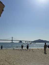 부산 광안리