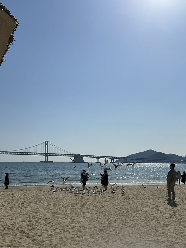 부산 광안리