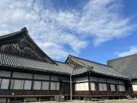 京都二條城｜德川家族廣闊的城池