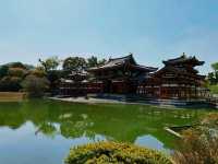 宇治〔鳳凰堂〕晴天倒影，美如畫卷的平等院