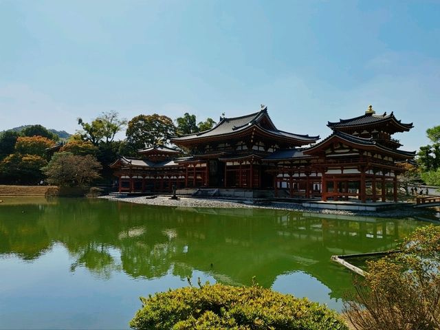 宇治〔鳳凰堂〕晴天倒影，美如畫卷的平等院