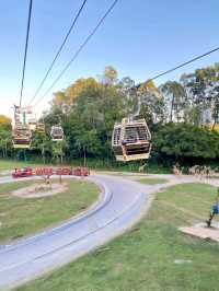 Exploring Chimelong Safari Park by Train 🚂