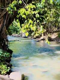 “Soak & Unwind: Refreshing Escapes at Janda Baik’s Lanchang River”