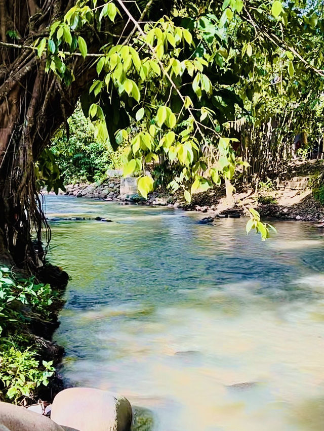 “Soak & Unwind: Refreshing Escapes at Janda Baik’s Lanchang River”