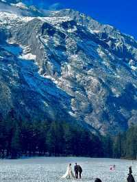 Spruce Meadow: A Natural Wonderland