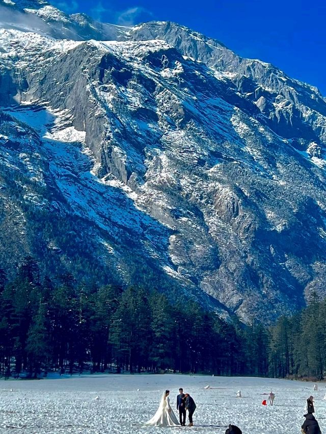 Spruce Meadow: A Natural Wonderland