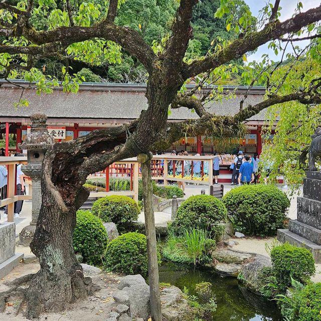 Dazaifu Tenmangu Shrine