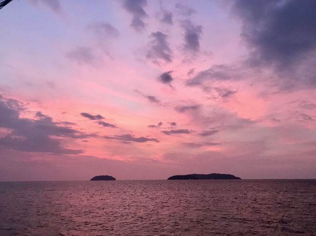 Palm tree & cotton candy sunset 