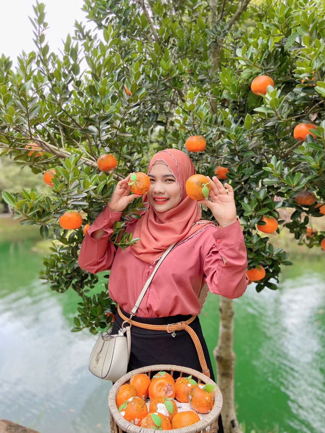 ธารคีรี - สวนกำนัน คาเฟ่ กระบี่