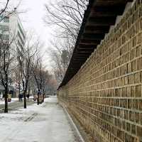 Deoksugung Palace & Stonewall Walkway (德壽宮與石牆路)