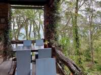 藏在深山的“6號公園”露營區也是網美景觀餐廳喔！