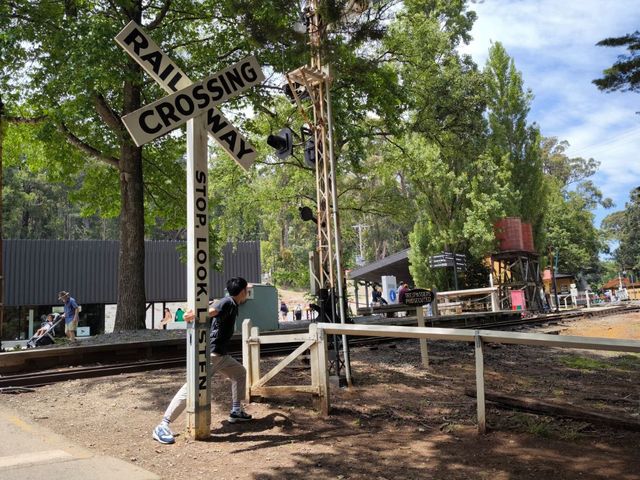 Scenic Journey on the Puffing Billy Railway in Melbourne