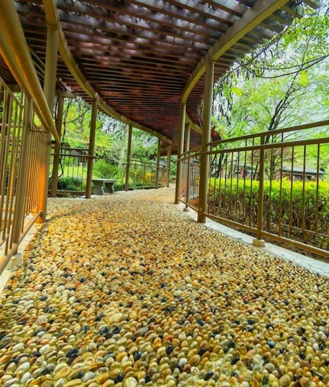 Lai Chi Kok Park