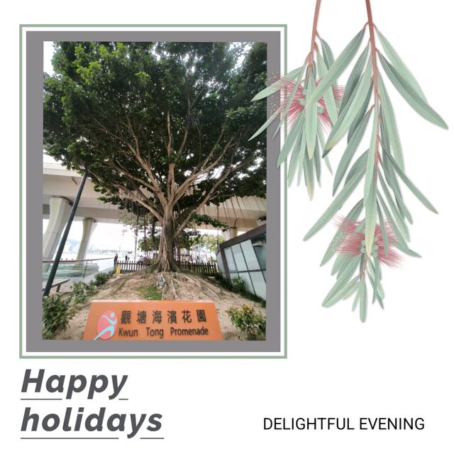 【觀塘海濱花園】坐擁無敵海灣,緊抱綠草如茵,是城市中之綠洲! 【觀塘海濱花園】坐擁無敵海灣,緊抱綠草如茵,是城市中之綠洲!