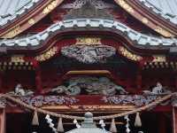 Escape to Nature: Hiking to the Summit of Mount Takao