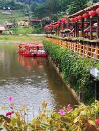 Picturesque Flower Garden