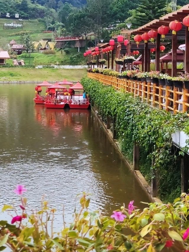 Picturesque Flower Garden